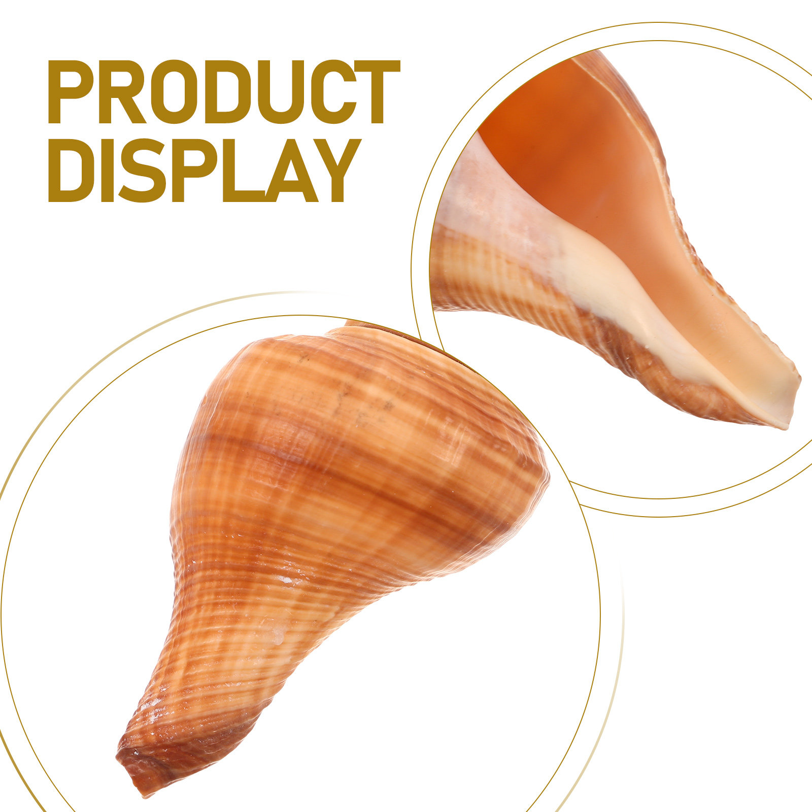 5Pcs Natural Conch Shell Whist - Emergency Whistle Loud avaliação e preço